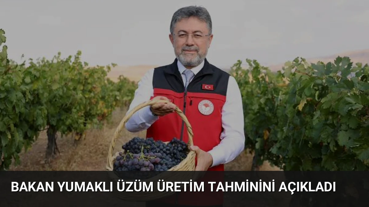 Bakan Yumaklı Üzüm Üretim Tahminini Açıkladı