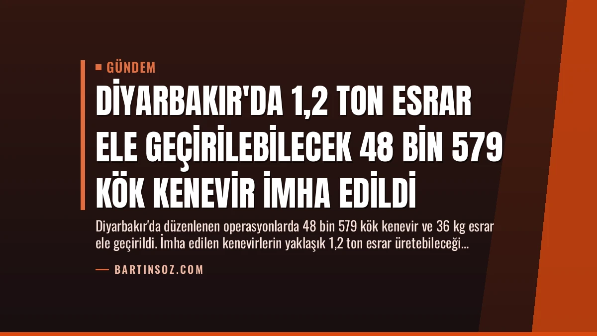 Diyarbakır’da 1,2 Ton Esrar Ele Geçirilebilecek 48 Bin 579 Kök Kenevir İmha Edildi