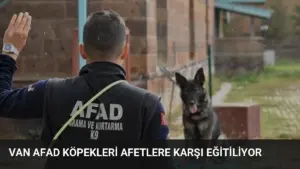 Van AFAD Köpekleri Afetlere Karşı Eğitiliyor